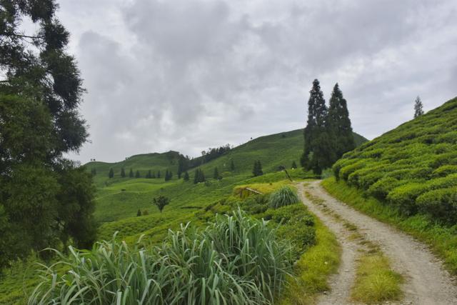 Takdah