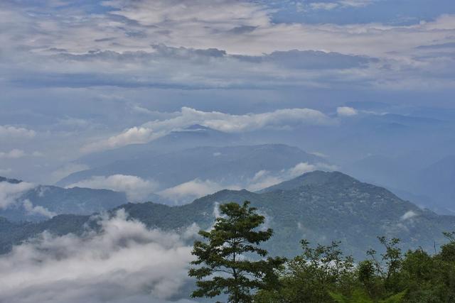 View of namring tea garden from Labdah
