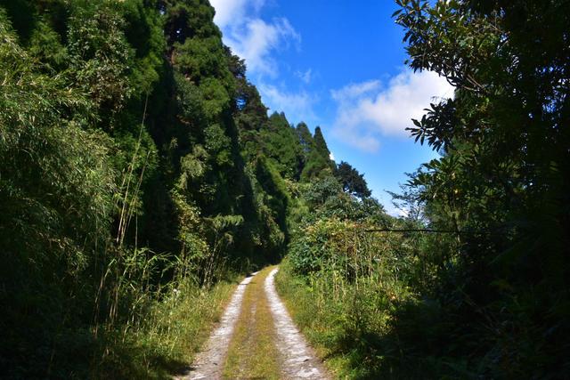 Way to Rambi forest busty labdash