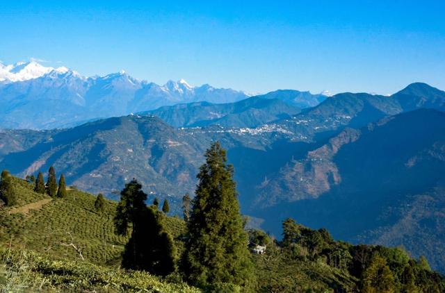View From Lamahatta
